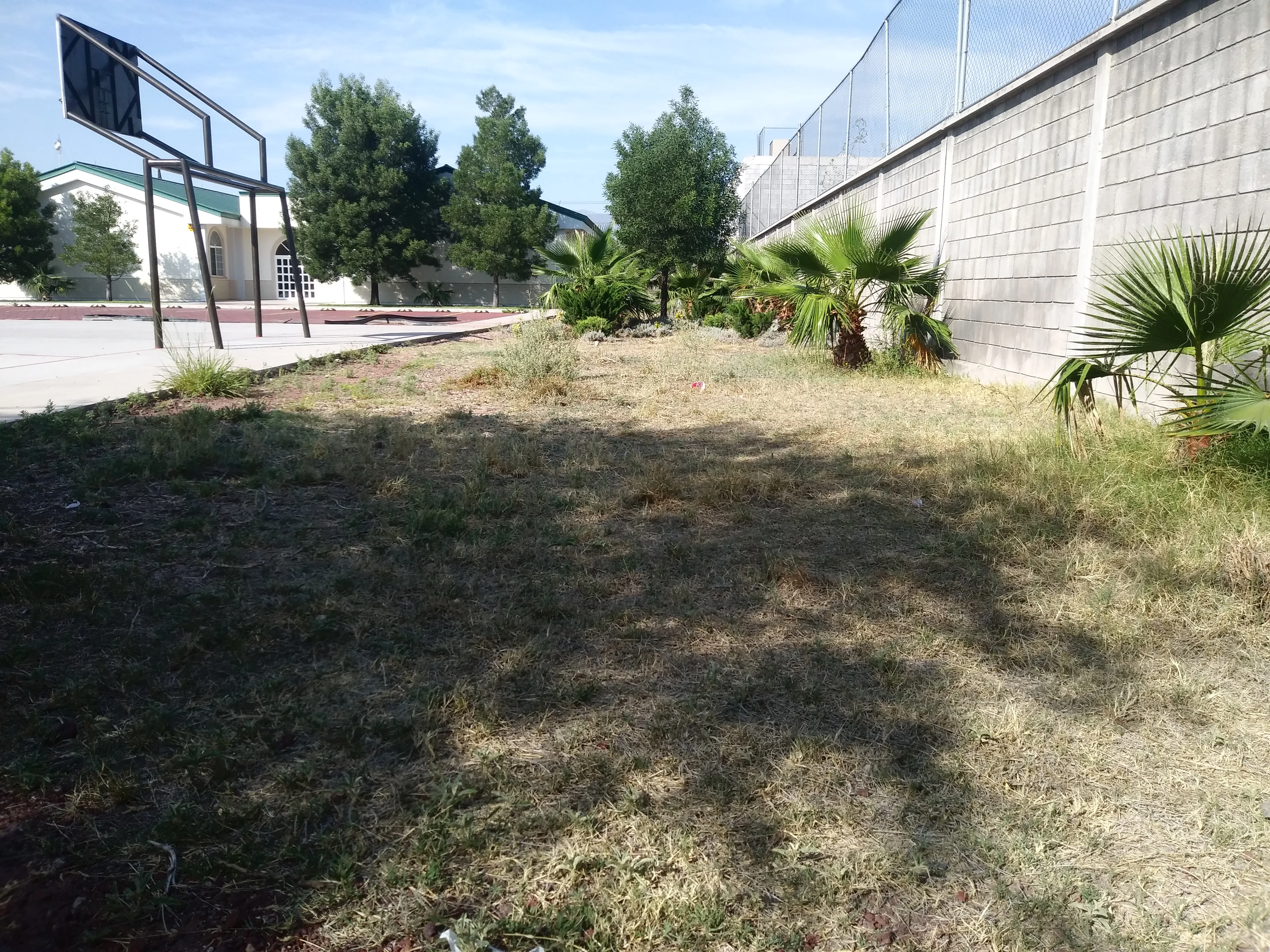 Antes